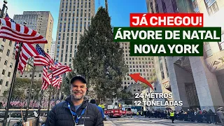 Chegou a ÁRVORE DE NATAL do Rockefeller Center em Nova York