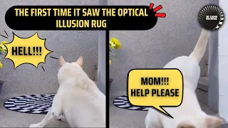 Optical Illusion Rug 🐕 Funny dog reaction video 😂 #OpticalIllusion #IndoorSinkhole #dogreaction