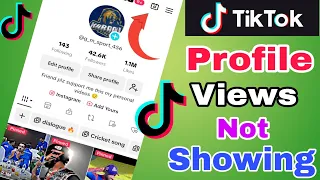 Tiktok profile views problem 😭|Tiktok profile view settings 2024