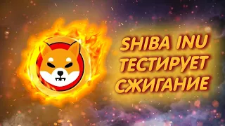 SHIBA INU: ШИБ ЗАПУСТИЛ ТЕСТ ПОРТАЛА ПО СЖИГАНИЮ ТОКЕНОВ!