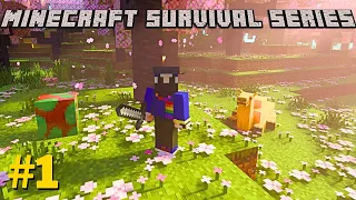 Minecraft 1.20 A New Beginning | Minecraft Pe Survival Series EP-1 in Hindi | I made survival house