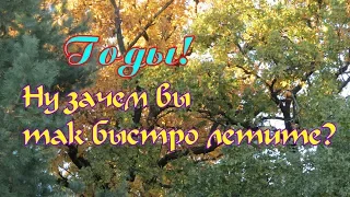 Годы, ну зачем вы так быстро летите ? Старость - не радость.