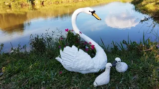 Cisne de Cimento Para Plantar