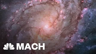 A Distant Galaxy With Almost No Dark Matter Could Prove Dark Matter Exists | Mach | NBC News