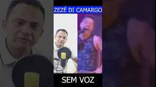 ZEZÉ DI CAMARGO PERDE A VOZ EM UM SHOW #shorts