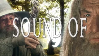 Lord of the Rings - Sound of Gandalf the Wandering Wizard