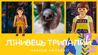 Лінивець трипалий. Тварини Амазонії | КоМарко