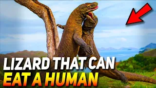 TOP 10 MOST DANGEROUS LIZARDS IN THE WORLD 2021