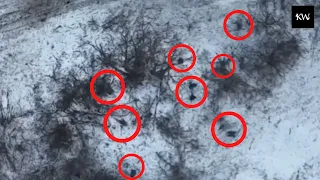 Russians trying to hide among the trees are destroyed / Ukraine war video footage