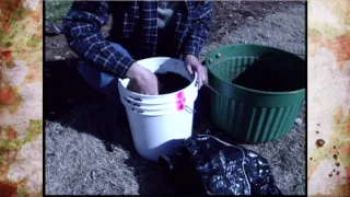 Grape Cuttings