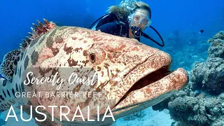 BREATHTAKING GREAT BARRIER REEF AND CORAL SEA︱AUSTRALIA︱ WORLD BEST DIVING︱4K VIDEO