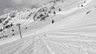 Snowbird Ski Resort: A May 8Th Powder Day in Mineral basin