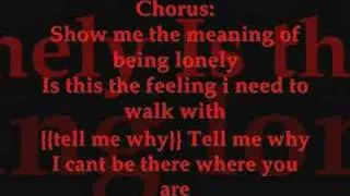 Show Me The Meaning Of Being Lonely (Lyrics)