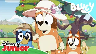 ✨ Joaca de-a Zoo | Blue | Disney Junior România