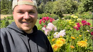 Dahlia garden tour 🌸 || Visit Our Garden