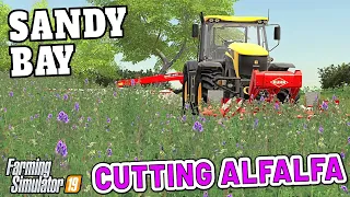 CUTTING THE ALFALFA | Sandy Bay Farming Simulator 19 - Episode 9