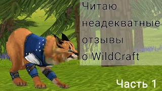 Читаю неадекватные отзывы о WildCraft || реакция, ответы || WildCraft