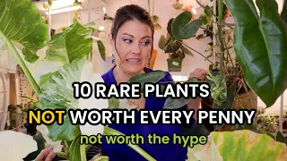 10 Rare Plants NOT Worth Every Penny - These Indoor Plants Aren't Worth The Hype