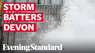 Beach huts swept away as Storm Ellen batters Devon coast