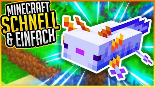 Blaue Axolotl Bekommen! *selten* (Tutorial) ✨ Minecraft Schnell und Einfach #53 ✨ ErikOnHisPeriod
