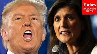 'Siding With A Thug': Nikki Haley Hits Trump Over NATO Comments On Eve Of South Carolina Primary