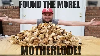 Found the Morel MOTHERLODE! | Nebraska Morel Mushroom Hunting 2018