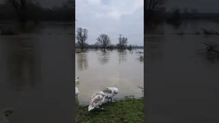 UK stives flooding