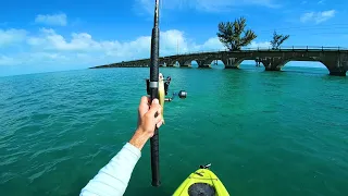 7 Miles Of Bridge to Fish for Whatever Bites - Florida Keys Fishing Experience Day 4