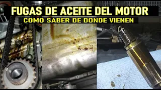 Como saber de donde vienen las Fugas de Aceite del Motor (y que hacer )