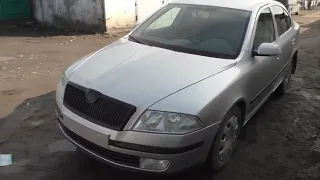 Покраска автомобиля Skoda Octavia. Кузовной ремонт в Санкт-Петербурге.