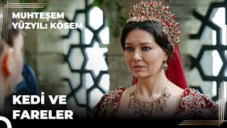 Nasıl Kösem Oldum? "Beni Dinlemeyen Bin Pişman" | Muhteşem Yüzyıl: Kösem