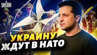 Уже треть стран НАТО поддержали заявку Украины