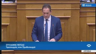 Σ.Πέτσας (Υφυπουργός στον Πρωθυπουργό) (Προγραμματικές δηλώσεις)(22/07/2019)