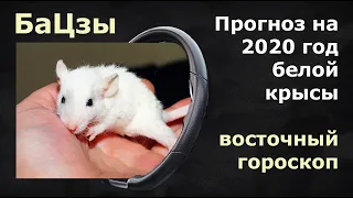 Прогноз на 2020 год  Металлической крысы