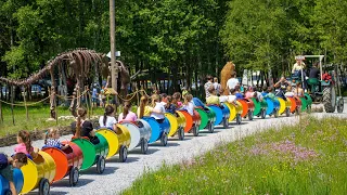 Plimbare cu trenulețul colorat | Activități copii | Dinosaur World Transylvania