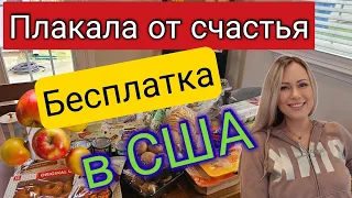 ВОТ ЭТО ПОМОЩЬ!!/Шикарная бесплатка в США/Мы в шоке!/Еда из фудбанка/Сельчанка в Америке/Влог