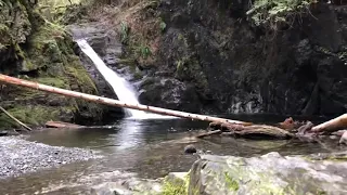 Exploring Goldstream Falls - A Waterfall by the Goldstream Campground