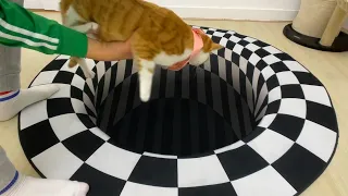 Cat's reaction to seeing the optical illusion 3D mat