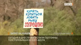 Запрет на рыбалку