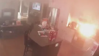 A house catches on fire. Video shows the dog did it.