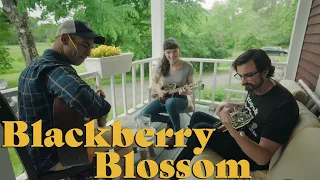 Blackberry Blossom // Bluegrass Jam feat. Maddie Witler, Ethan Hawkins