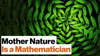 Universal Mathematics: All Life on Earth Is Bound by One Spooky Algorithm | Geoffrey West