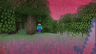 Creepy Things in Old Minecraft