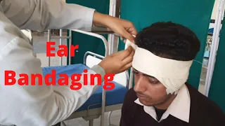 Ear bandaging by PC nursing procedure.
