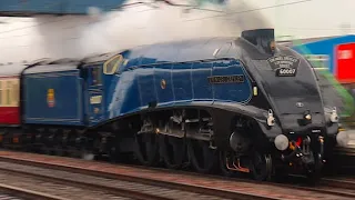 60007 Sir Nigel Gresley at speed in BR Blue! Light Engine Movement to NVR | 5/4/23