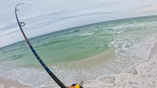 My First Ever off the Beach! (Catch Clean Cook)