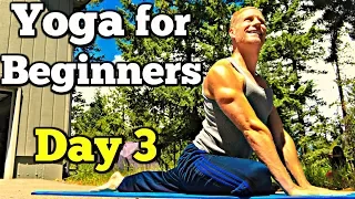 Day 3 - Full Body Yoga (7 Day Beginner Yoga Challenge) Sean Vigue Fitness