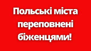 Польські міста переповнені біженцями! Влада просить людей переселятись! Біженці в Польщі!