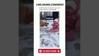 baby playing with dog