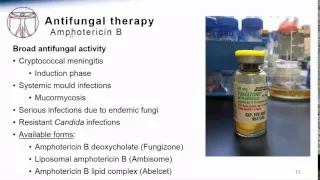 Antifungal Therapy